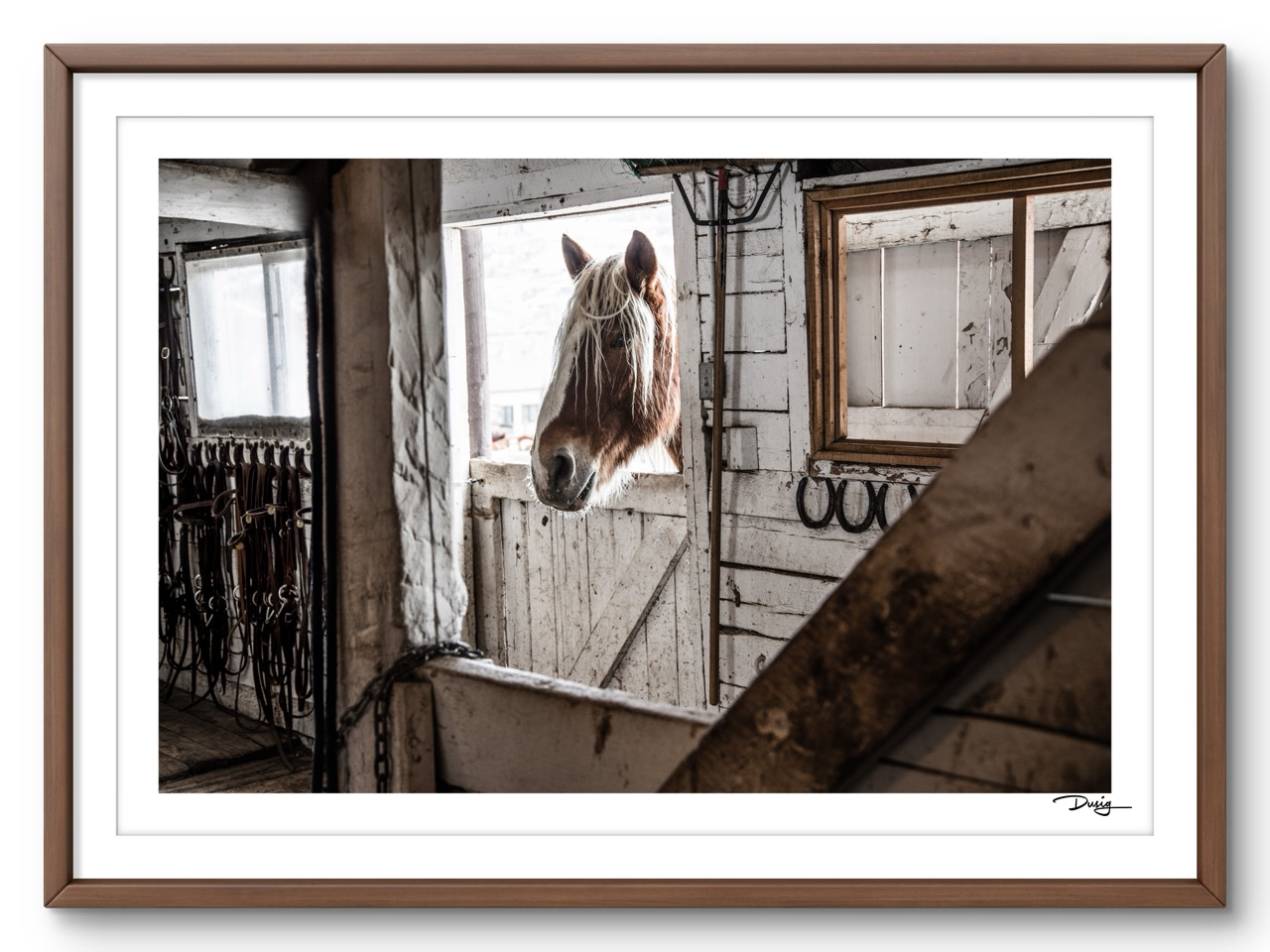 Tales of the Tack Room