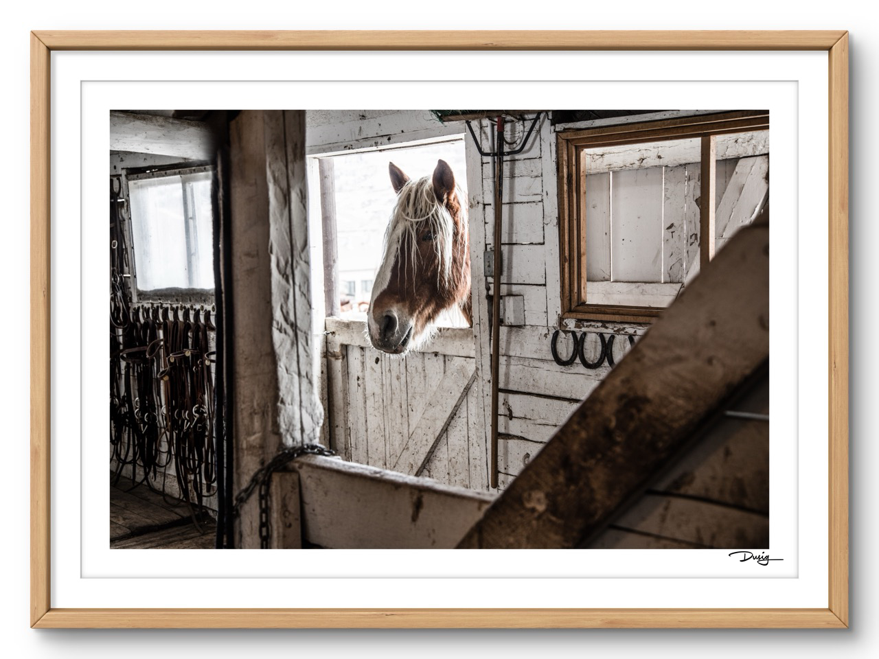 Tales of the Tack Room