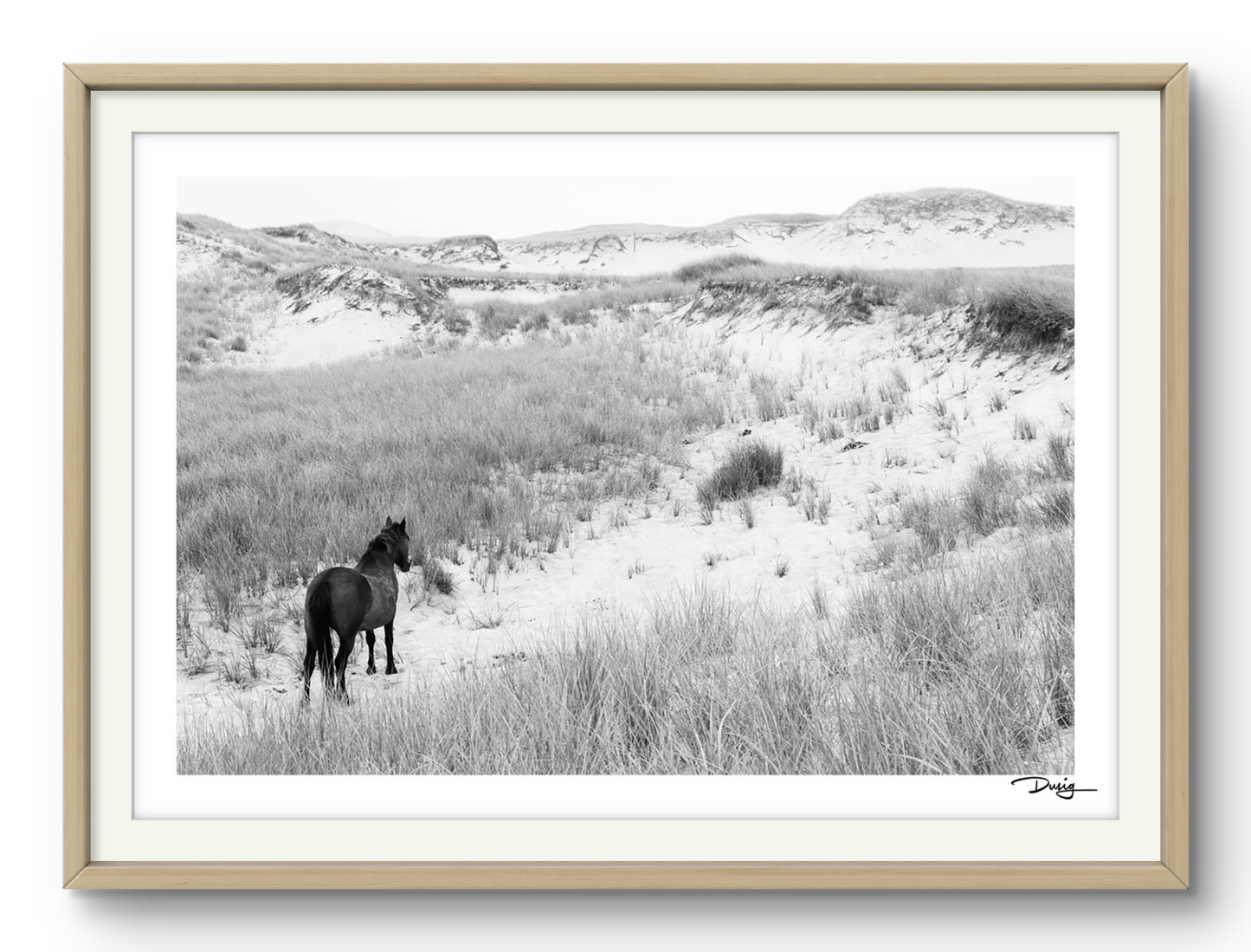 Into the Dunes