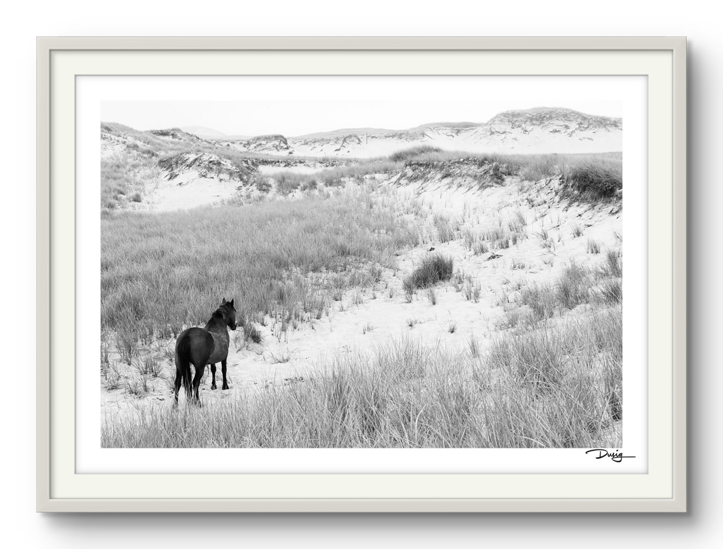 Into the Dunes