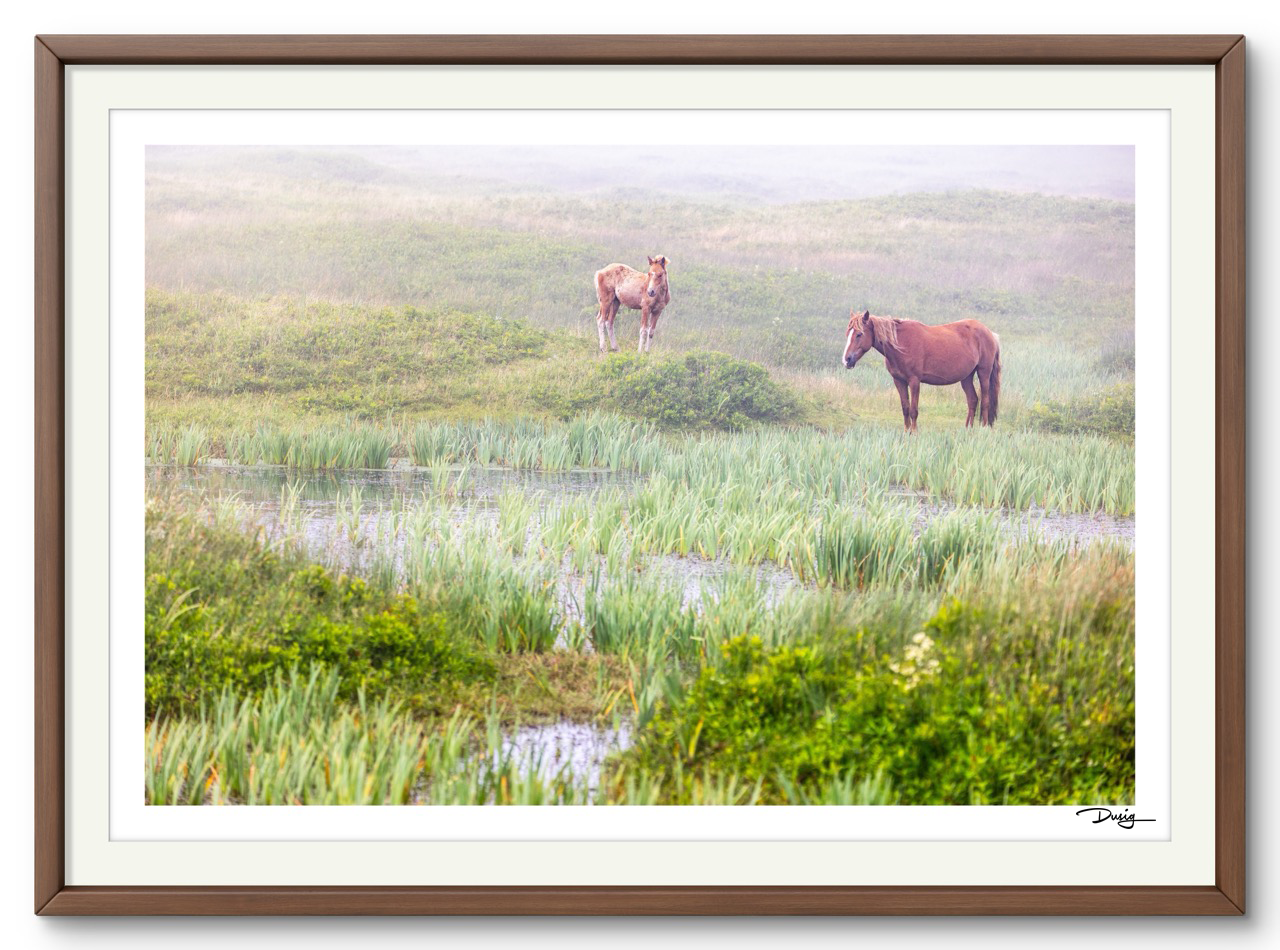 Mist Over the Marsh