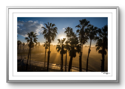 Golden Morning in Santa Monica