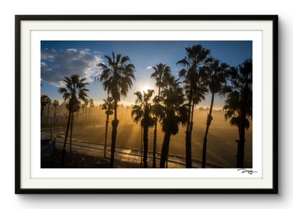 Golden Morning in Santa Monica