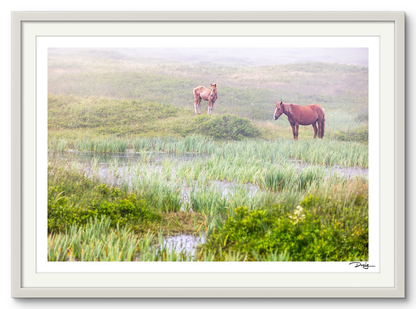 Mist Over the Marsh