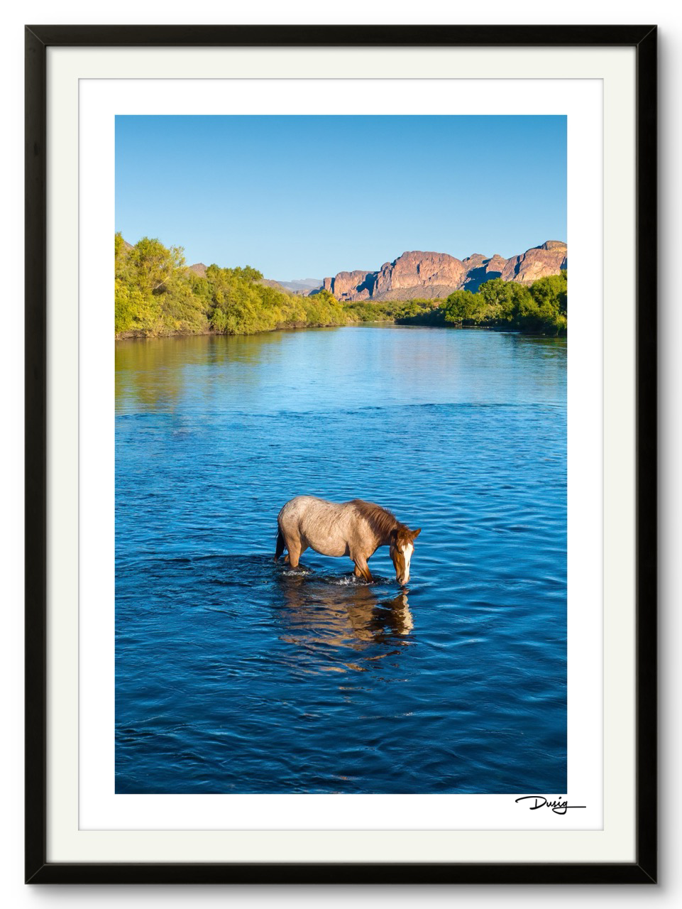 TEST A Lone Mustang’s Tranquil Moment (Copy)