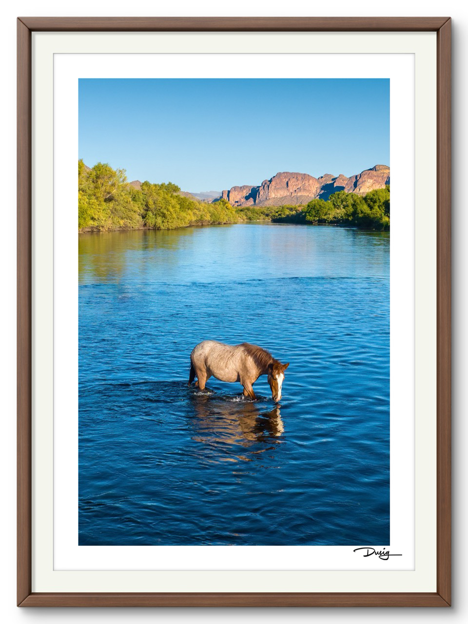 TEST A Lone Mustang’s Tranquil Moment (Copy)