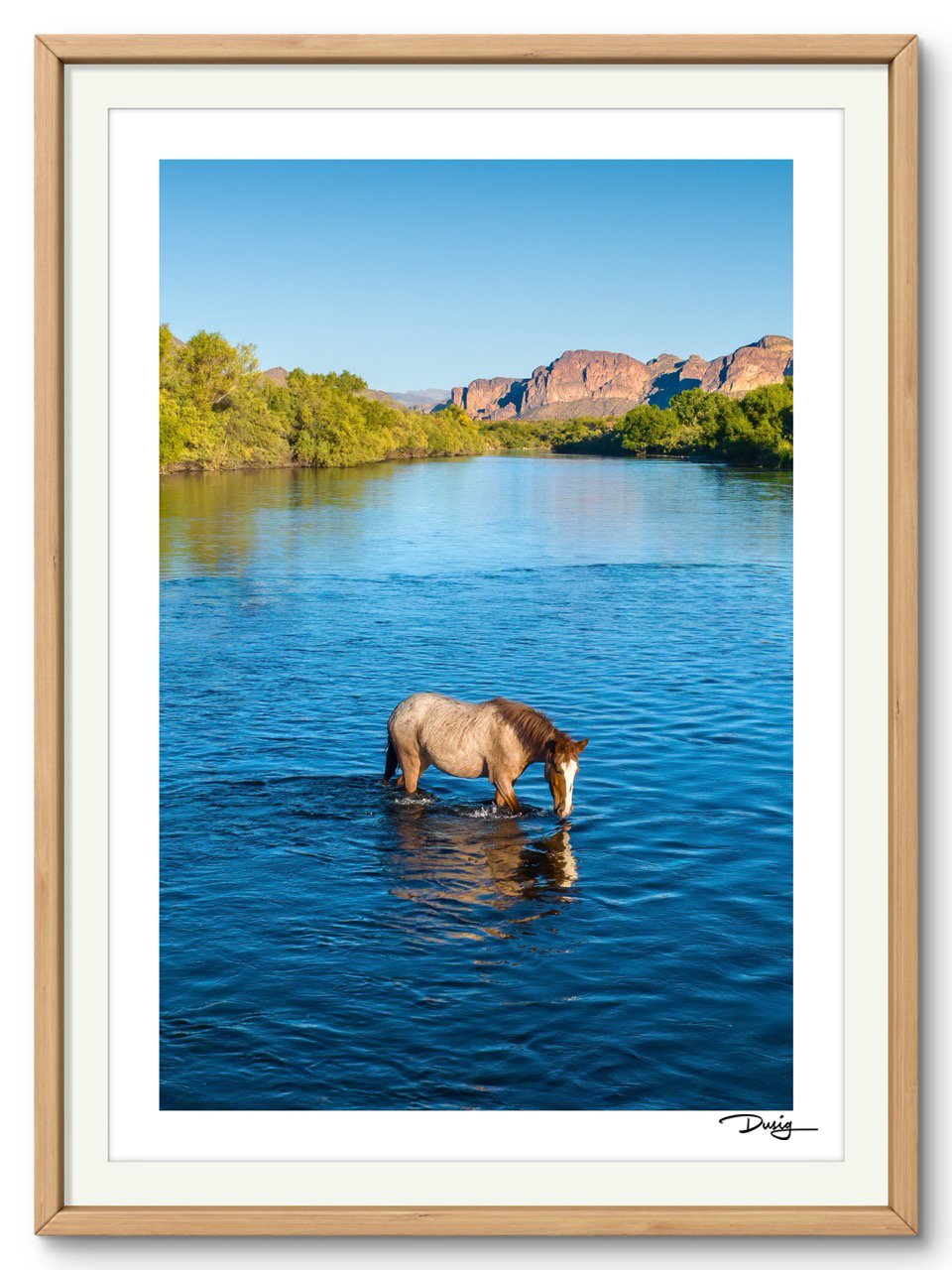 TEST A Lone Mustang’s Tranquil Moment (Copy)