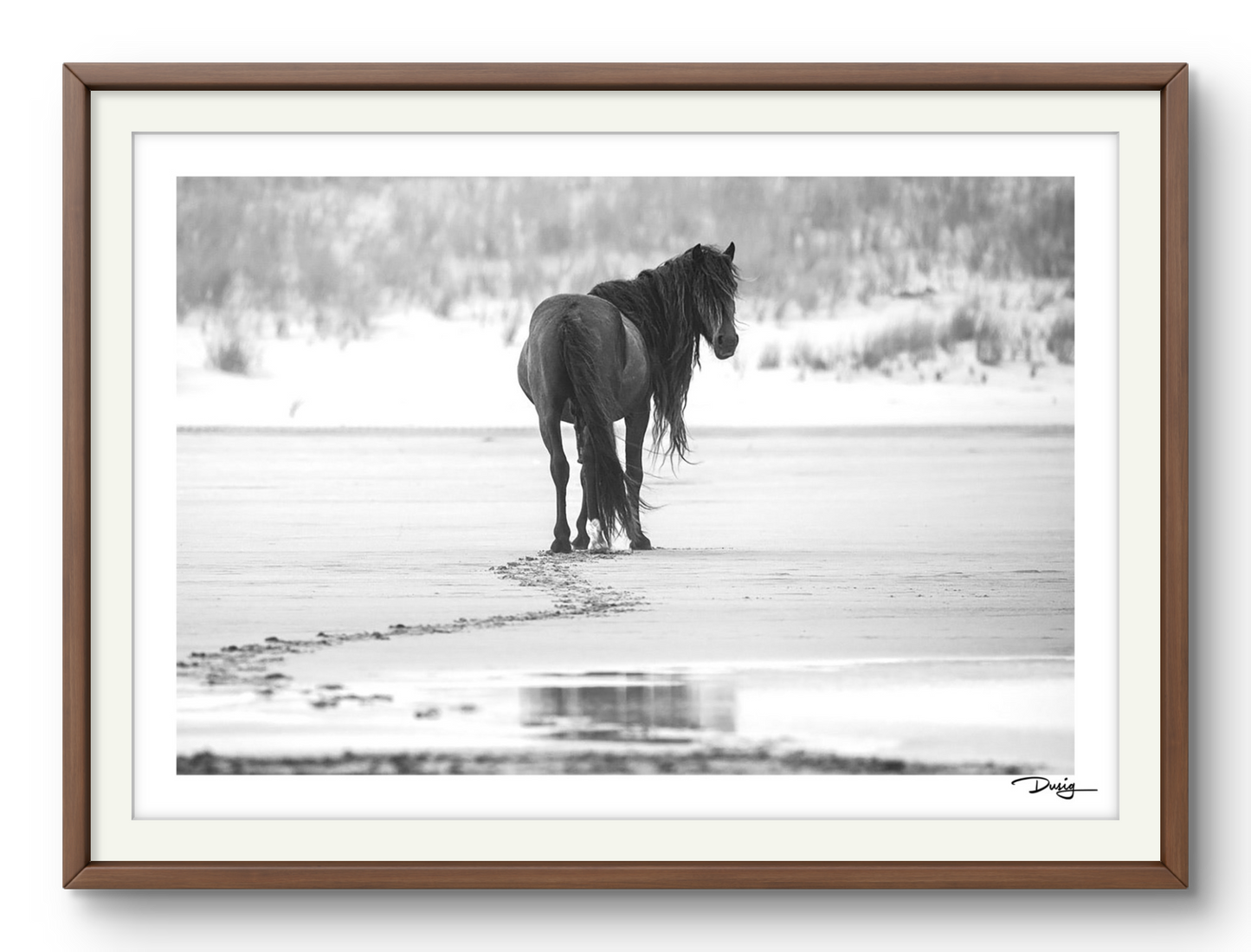 Footprints in Solitude