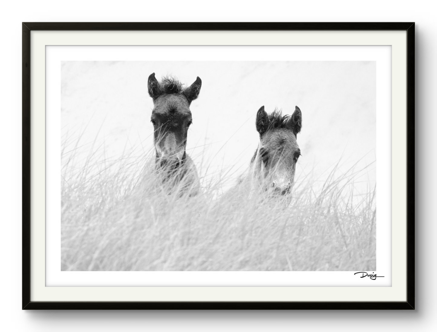 Innocence in the Dunes