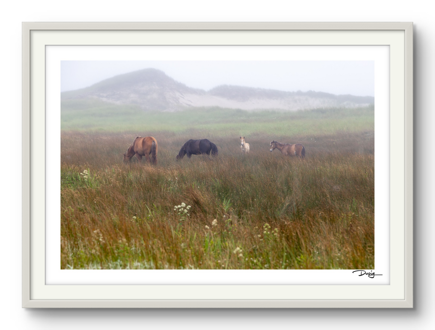 Silent Meadows