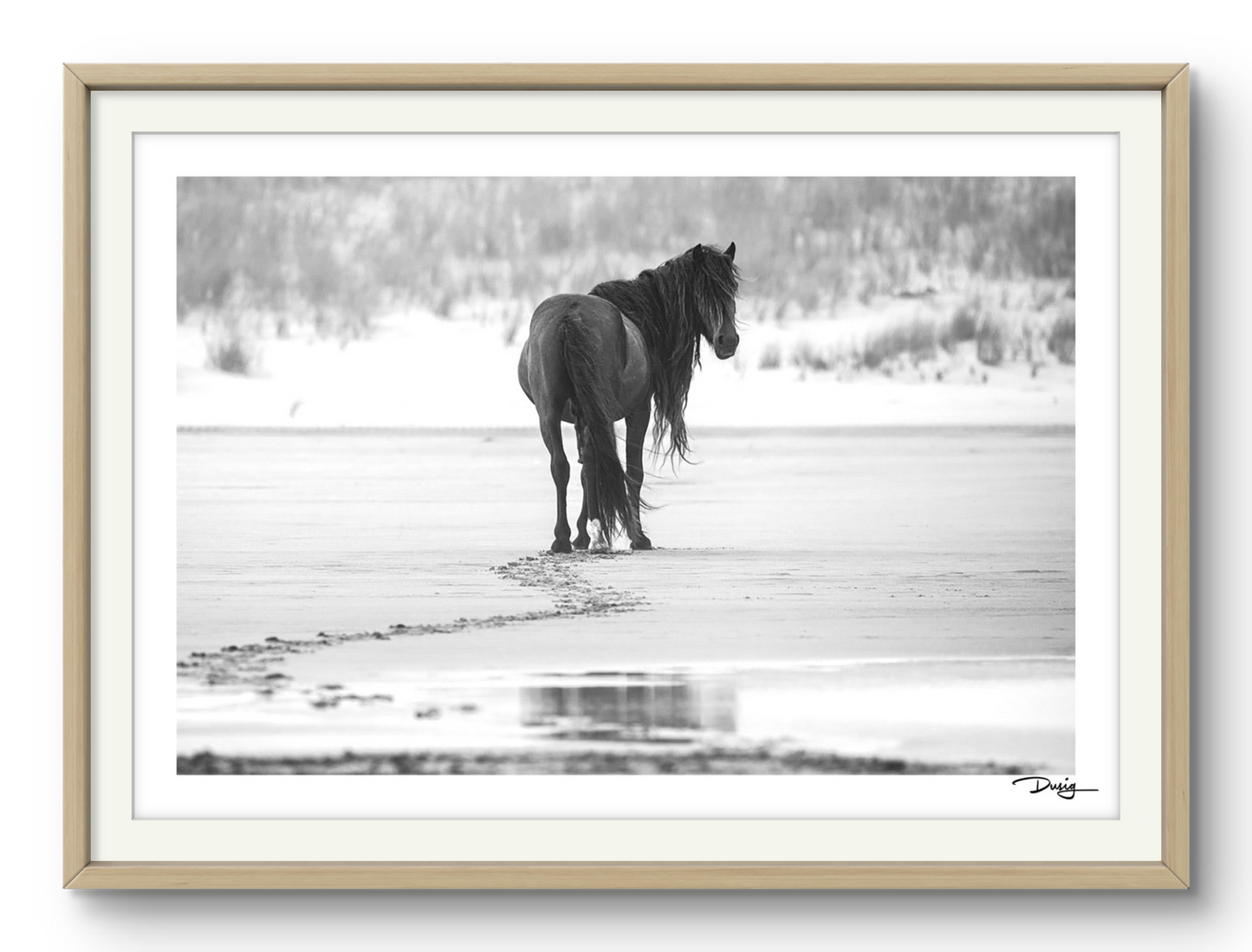 Footprints in Solitude