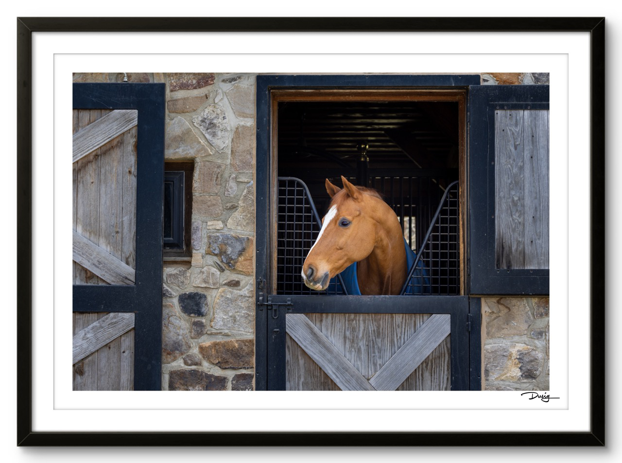 Quiet Moment in the Barn