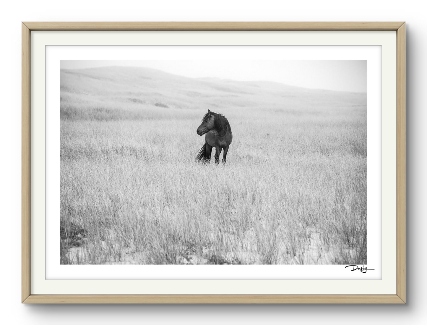 Lone in the Landscape