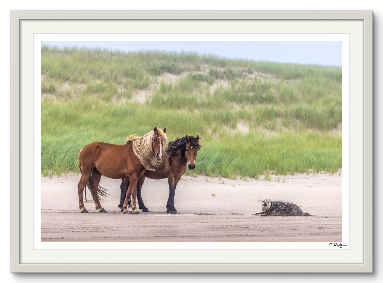 Meeting on the Dunes