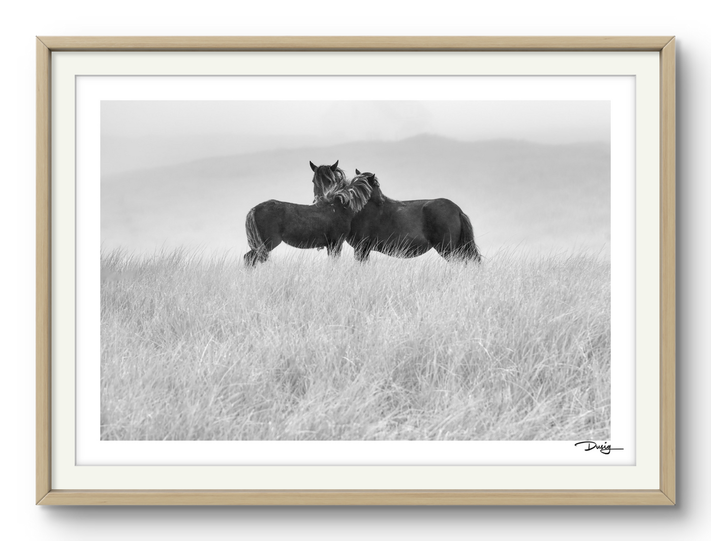 Embrace on the Dunes